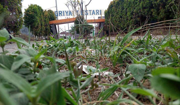 Rumah Subsidi Dp 1 Juta Di Griya Lestari Estate Ciujung 8