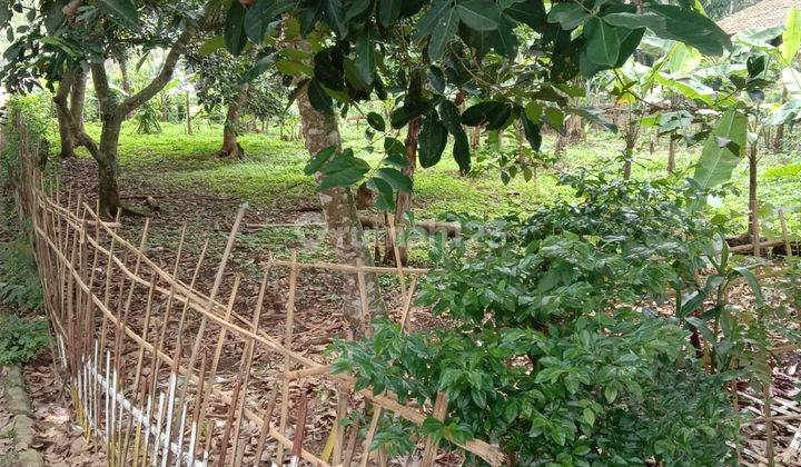 Tanah Murah 400 M Dekat Pasar Baros 4