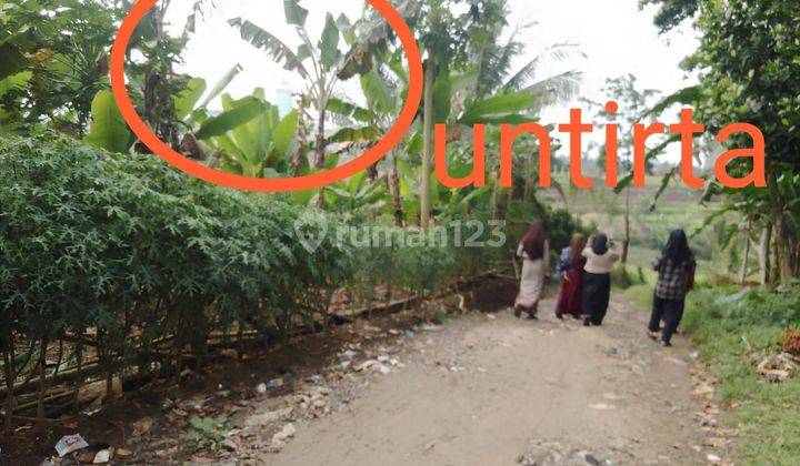 Tanah 1000 M Belakang Kampus Untirta Sindangsari 1