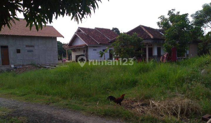 Tanah Murah Dekat Universitas Sutomo Terminal Pakupatan 2