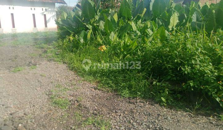 Tanah Murah Dekat Kampus 2 Uin Banten 2