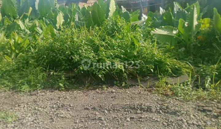 Tanah Murah Dekat Kampus 2 Uin Banten 3
