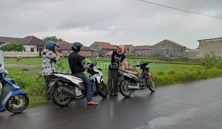 Tanah Pinggir Jalan Raya Kilasah Sawah Luhur 3