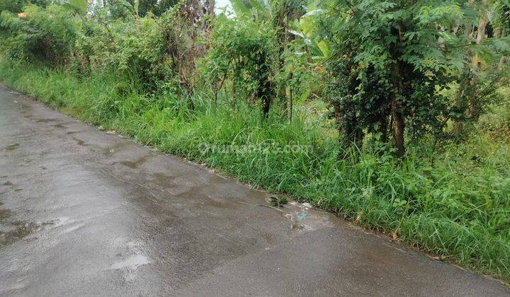 Tanah 1000 M Pinggir Jalan Di Priyayi Kasemen 1