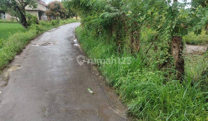 Tanah 1000 M Pinggir Jalan Di Priyayi Kasemen 2