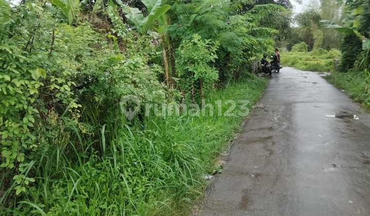 Tanah 1000 M Pinggir Jalan Di Priyayi Kasemen 3