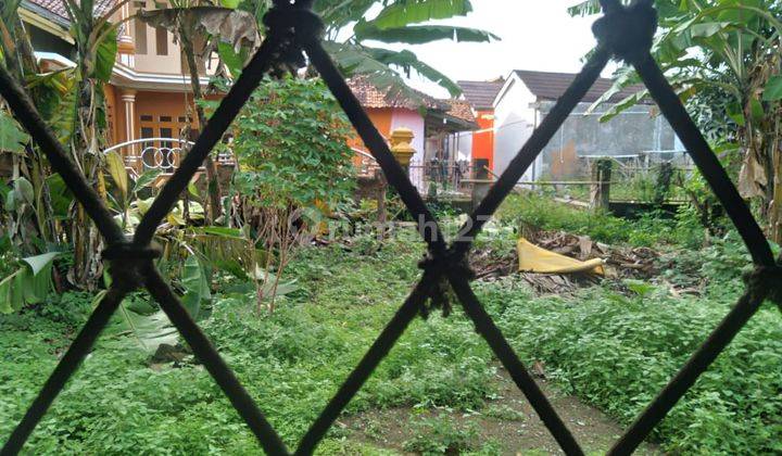 Rumah Perlu Renov Luas 400 M Dekat Tol Serang Timur 6