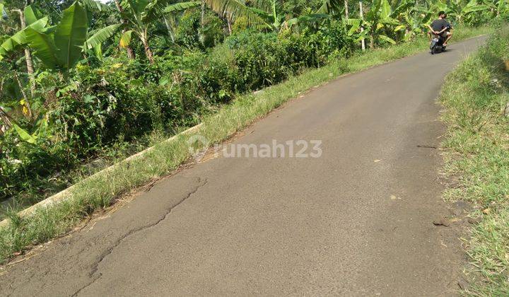Tanah 2500 M Pinggir Jalan Dekat Untirta Cadasari 1
