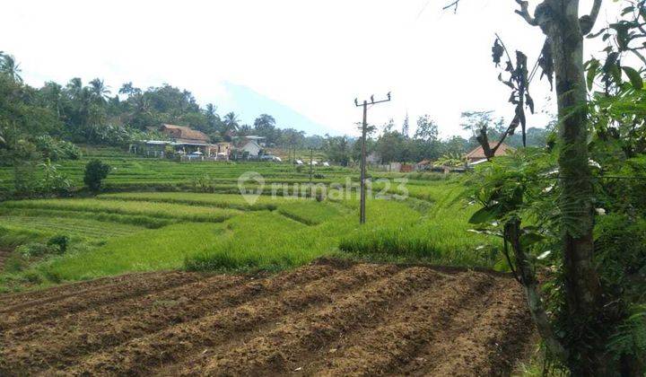 Tanah Pinggir Jalan View Gunung Karang Dekat Untirta 3