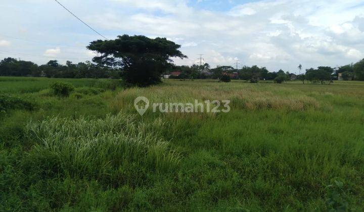 Tanah 1000 m Pinggir Jalan Dekat Terminal Pakupatan  3