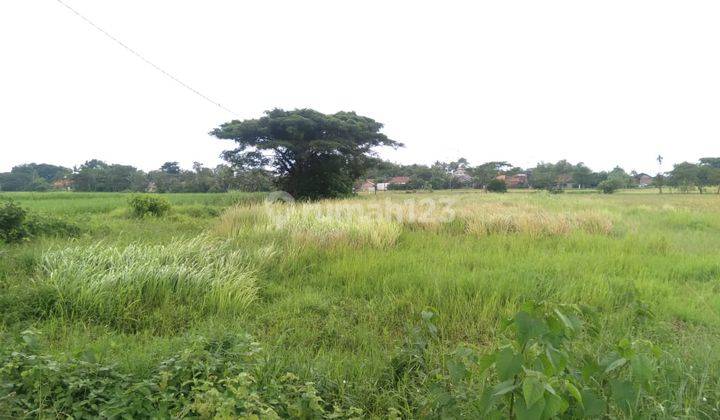 Tanah 1000 m Pinggir Jalan Dekat Terminal Pakupatan  4