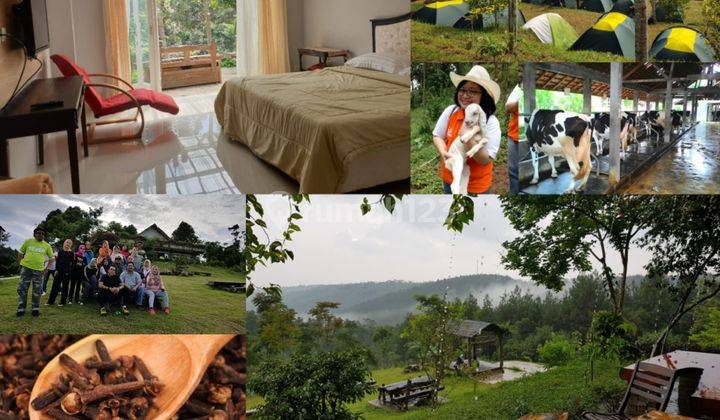 Tanah Strategis Untuk Usaha Pariwisata Dan Tempat Tinggal 1