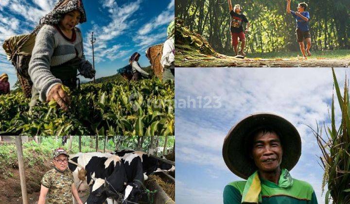 Tanah Strategis Untuk Usaha Pariwisata Dan Tempat Tinggal 2