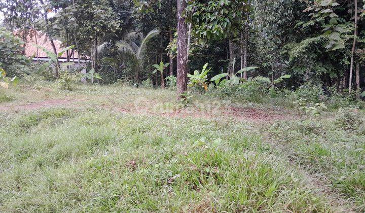 Tanah Pinggir Jalan Di Cisalam Baros Dekat Banten International Stadium  1