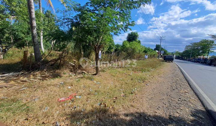 Tanah 1 Hektar Pinggir Jalan Raya Langam Sumbawa Ntb 2