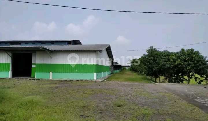 Industrial Warehouse For Sale Ready to Use in Majalengka
