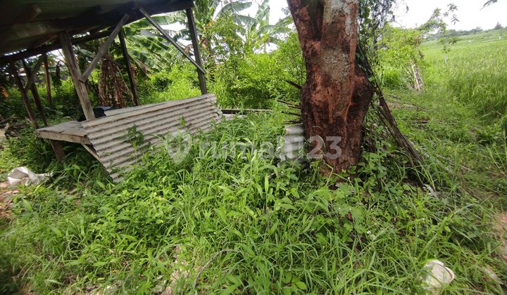 Kavling Kotamadya Cirebon Dekat Citraland Harga Investor 2