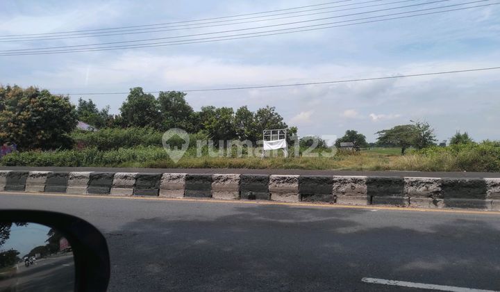 Dijual Tanah Sudah Urug Padat Dekat Kawasan Industri Losarang Indramayu Dijual Tanah Sudah Urug Padat Dekat Kawasan Industri Losarang Indramayu