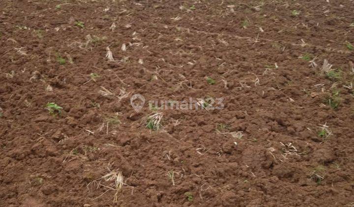 Dijual Lahan Zona Industri 5 Ha di Ligung, Majalengka  2