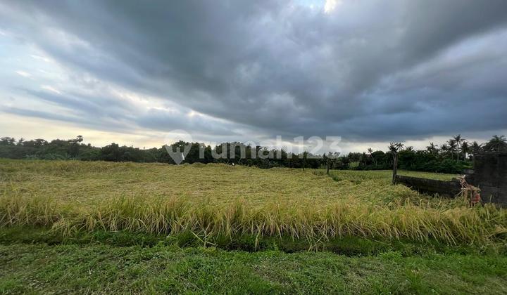 Dijual tanah dekat pantai Klecung Tabanan Dijual tanah dekat pantai Klecung Tabanan
