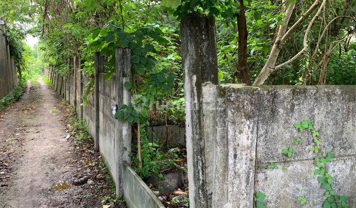 Tanah Pinggir Sungai Dekat Pantai Berawa Bali 2