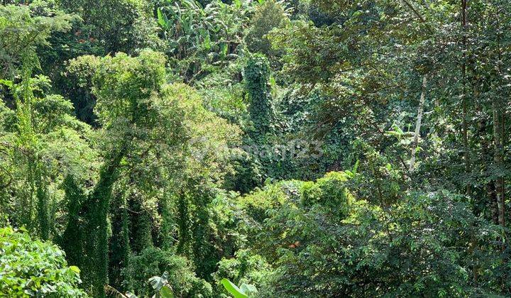 Tanah Los Sungai Cocok Untuk Villa Lokasi Buwit Tabanan 5