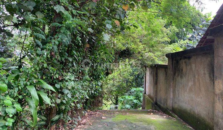 Tanah Los Sungai Cocok Untuk Villa Lokasi Buwit Tabanan 6
