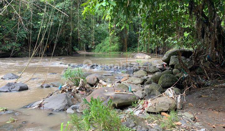 Tanah Los Sungai Cocok Untuk Villa Lokasi Buwit Tabanan 8
