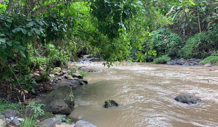 Tanah Los Sungai Cocok Untuk Villa Lokasi Buwit Tabanan 9