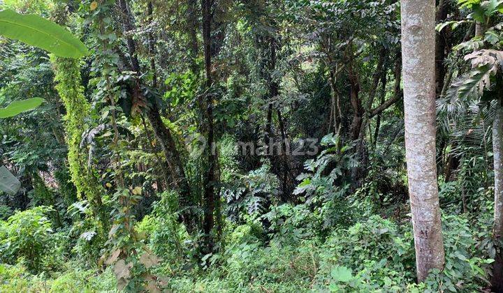 Tanah Los Sungai Cocok Untuk Villa Lokasi Buwit Tabanan 14