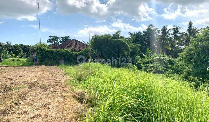 Large Strategic Land on the Side of Jalan Buwit Tabanan 2