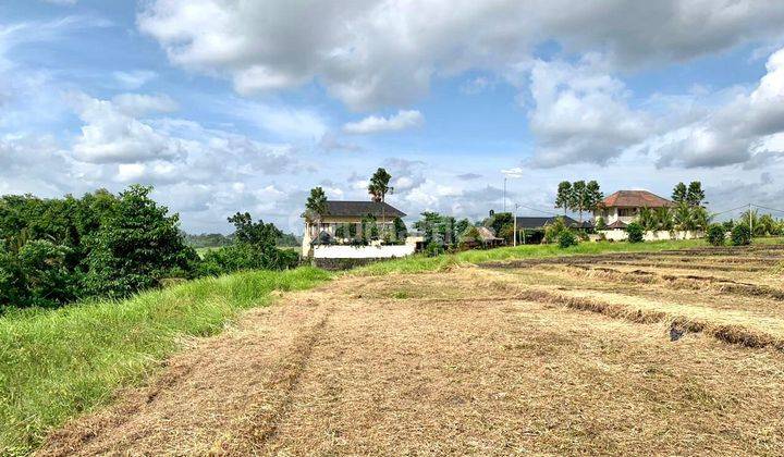 Large Strategic Land on the Side of Jalan Buwit Tabanan 1