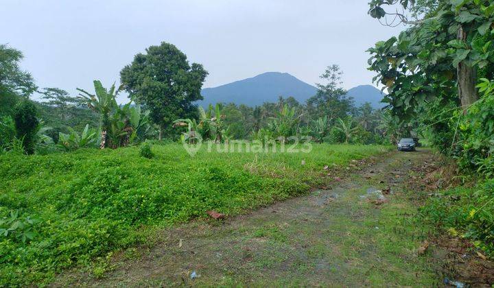 Buc Tanah View of Mountains, Rice Fields and Tabanan River 2