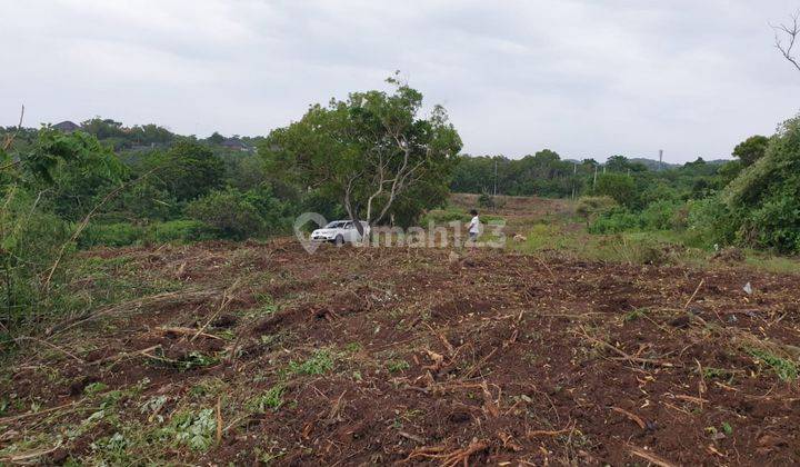 Fantastic Bali Cliff Front Land Uluwatu  2