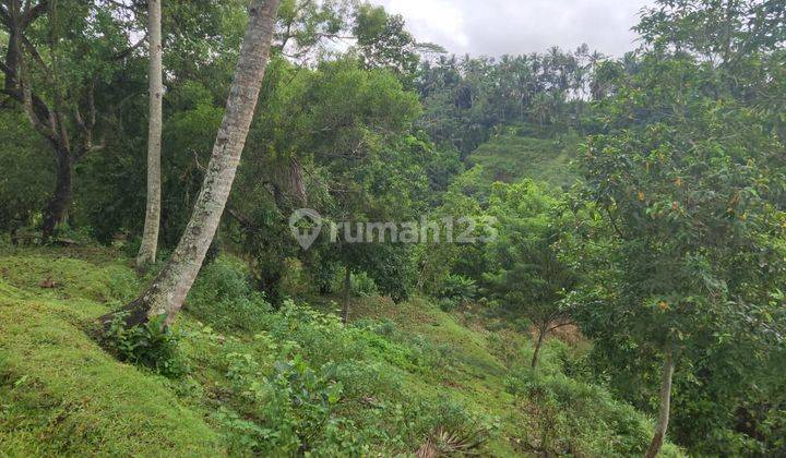 Tanah View Menawan Lokasi Tegalalang Ubud 1