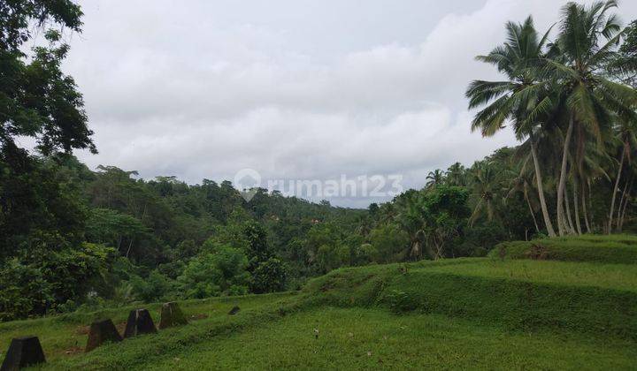 Tanah View Menawan Lokasi Tegalalang Ubud 2