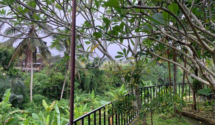 Tanah View Sawah Dan Sungai Jalan Utama Ubud 1