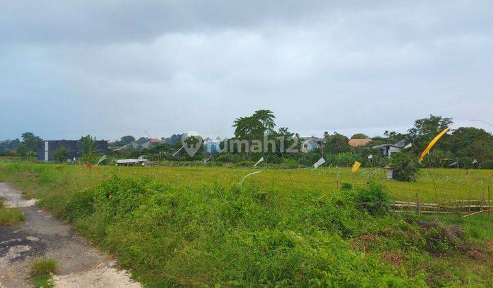 Tanah View Rice Fields Berawa Canggu Location 1