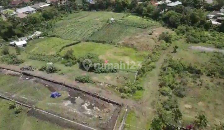 Premium land in the Dharma Residence Umalas area 2