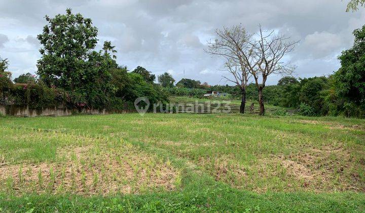 Tanah View Sawah Lokasi Pererenan 1