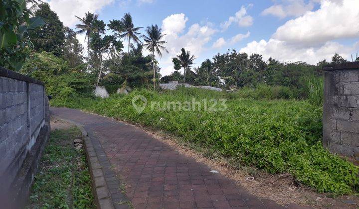 Dijual Tanah Kavling View Sawah Mengwi Badung 2