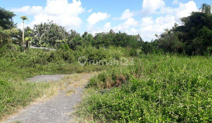 Dijual Tanah Kavling View Sawah Mengwi Badung 1