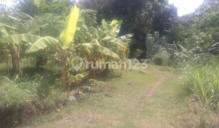 Dijual Cepat Tanah Kavling Sisa 4 Unit Buleleng 7