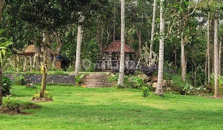 Land For Sale With Good View At Karangasem 2