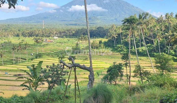 Land For Sale With Good View At Karangasem 1