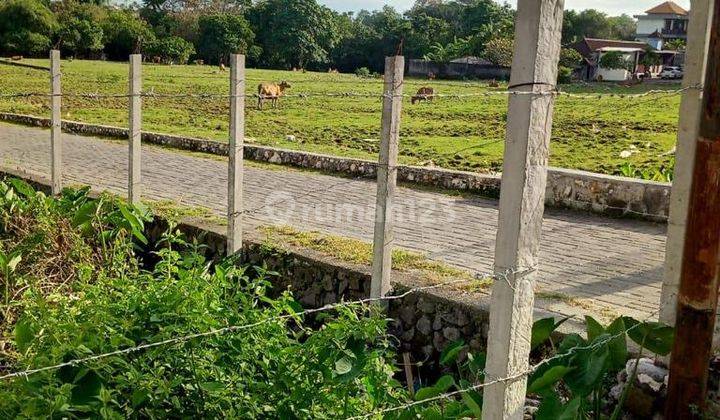 Tanah Dekat Pantai Jalan Utama Canggu 2