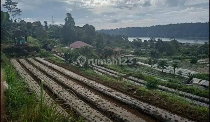 Cheap Land with View of Bedugul Valley Lake 2