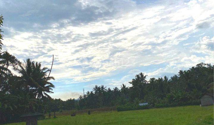 Tanah Sawah Los Sungai Tabanan 2