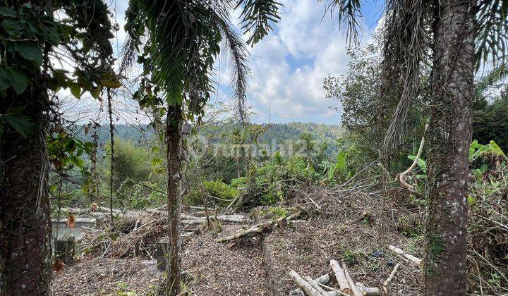 Land for sale Los Sungai Bonus Ex Villa Complex  1