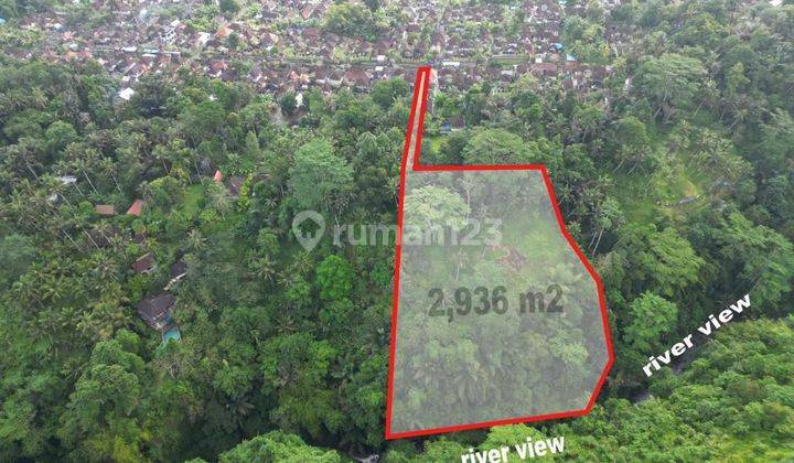 Tanah Tebing Dengan Panorama Hutan Dan Sungai di Ubud Bali 1